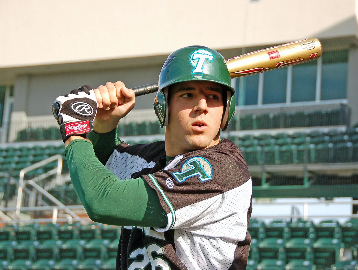 Tulane batter concentrating at the plate during a 2008 college baseball game.
